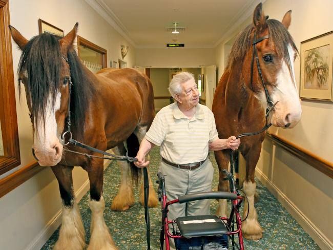 Clydesdale Nursing Home